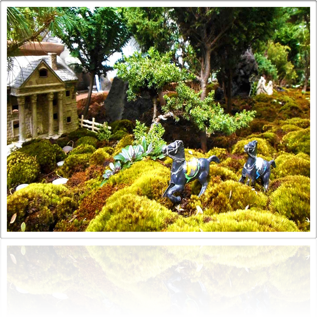 Land Artist